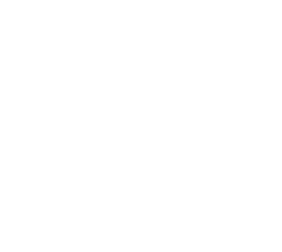 EMERGE Logo